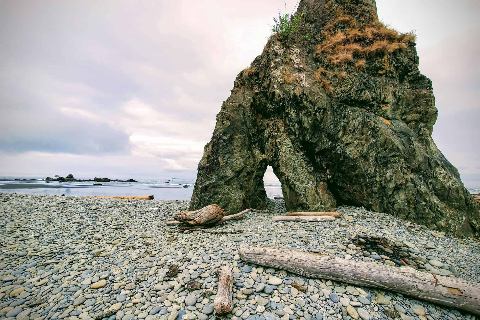 a sea stack sits on the pebbles of ruby beach with driftwood scattered around
