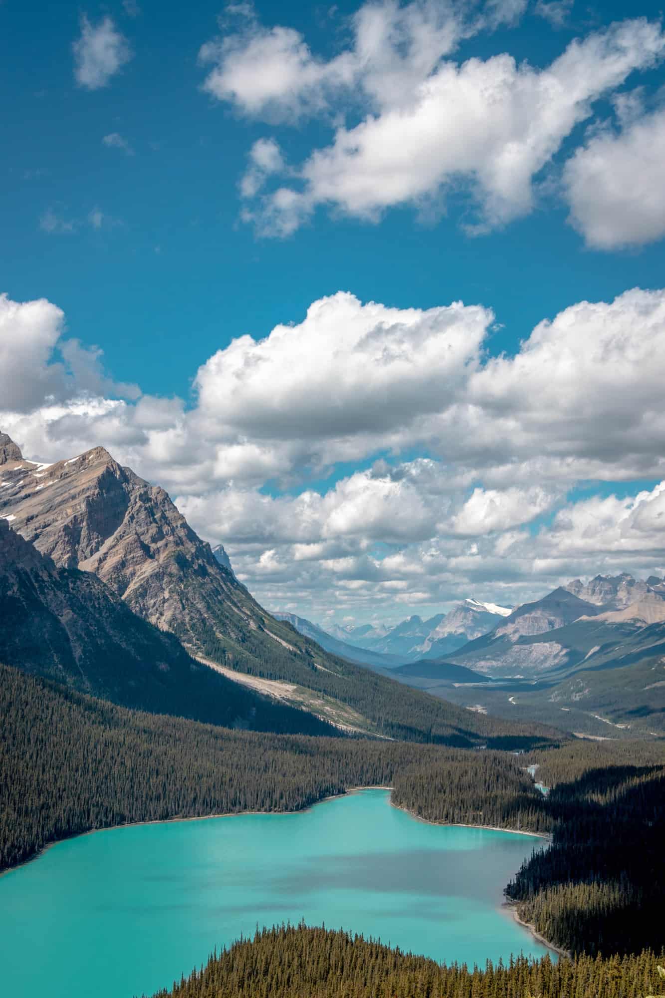 peyto lake as seen from above at one of the famous viewpoints