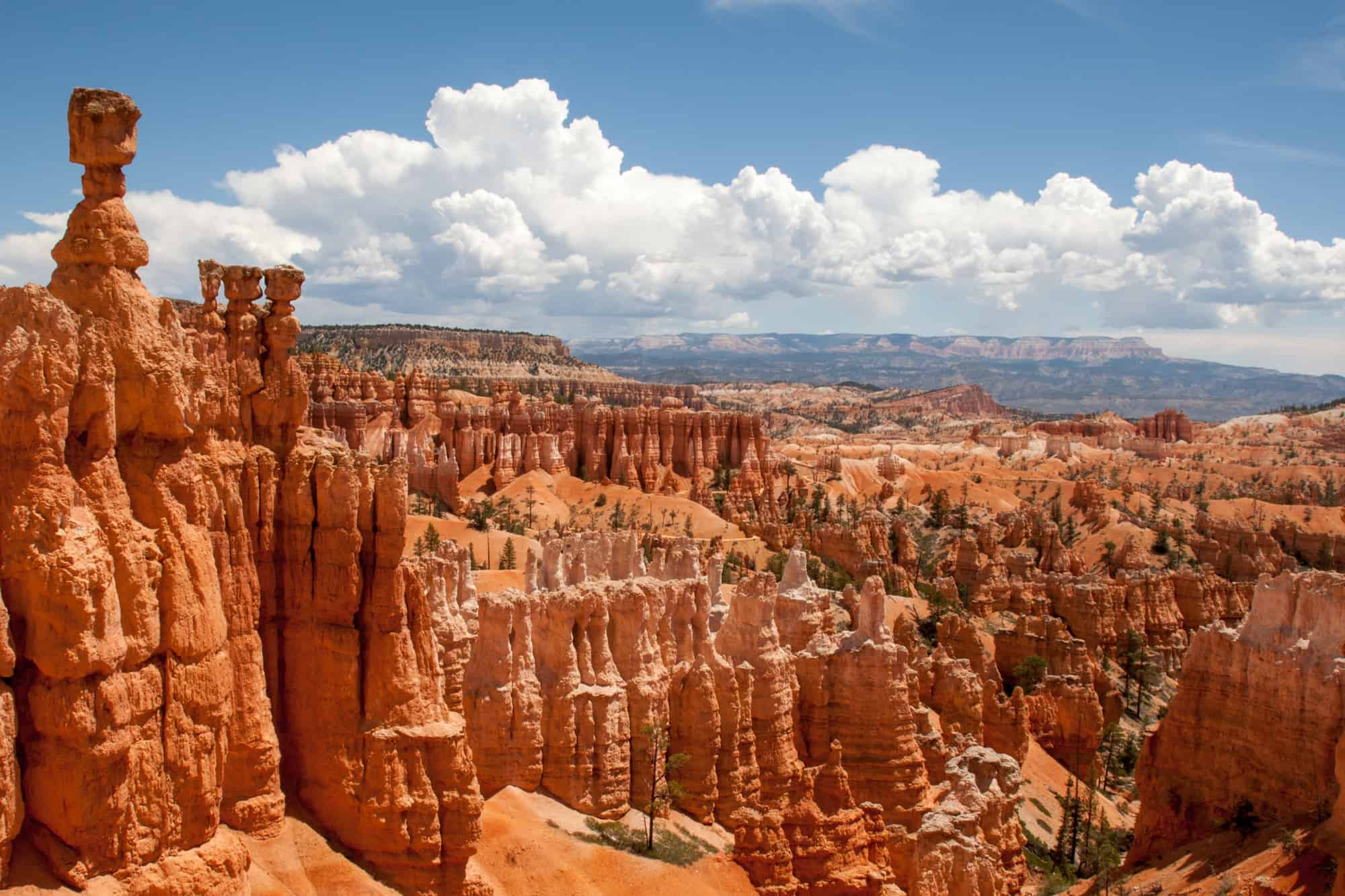 hoodoos including thor's hammer can be seen at bryce canyon national park, one of the 5 national parks near st. george, utah