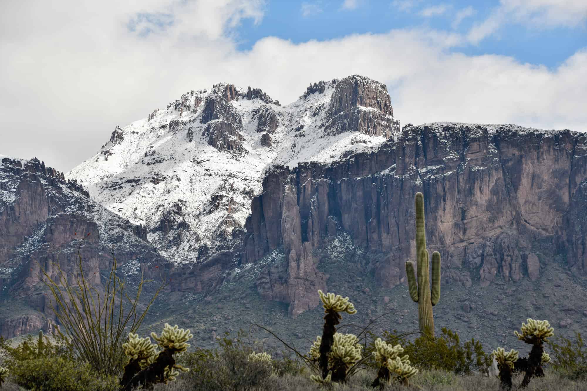 tall mountain with snow and saguaro cactus in the front at lost dutchman state park, a great park to stretch your legs on a phoenix to tombstone road trip
