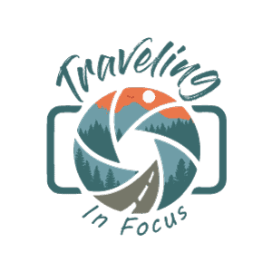 traveling in focus logo