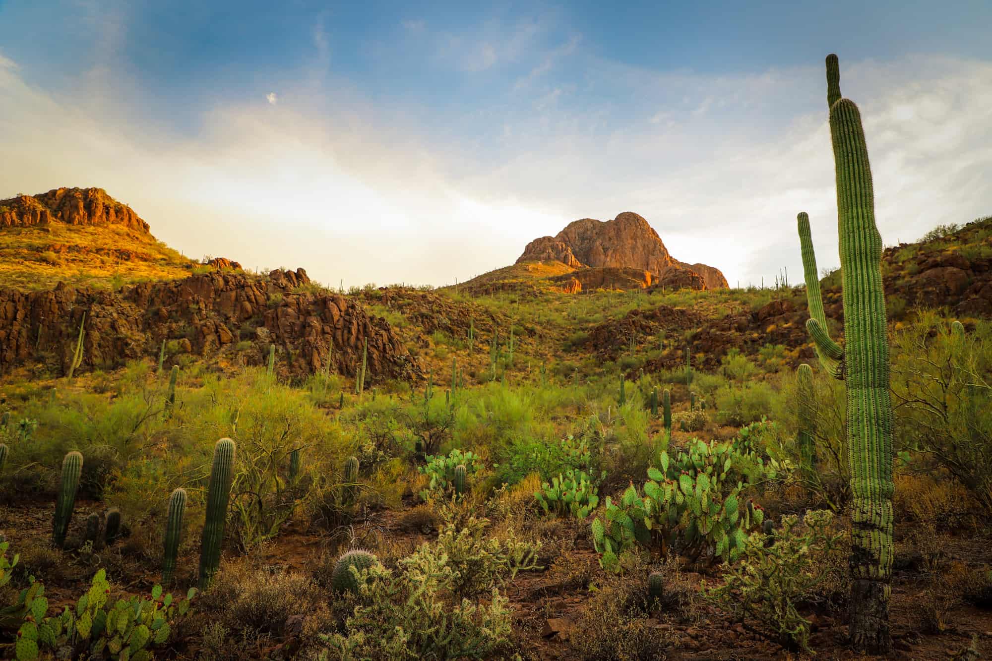 picture of rocky mountains and cacti in arizona, getting out in the nature surrounding tucson is part of our tucson itinerary