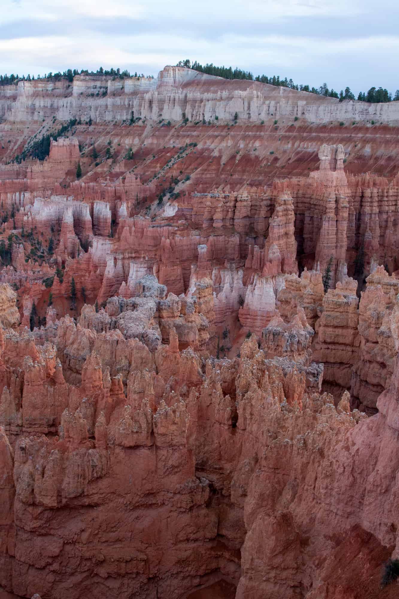 up close of several hoodoos in bryce canyon, the debate of bryce canyon vs grand canyon is often about the hoodoos