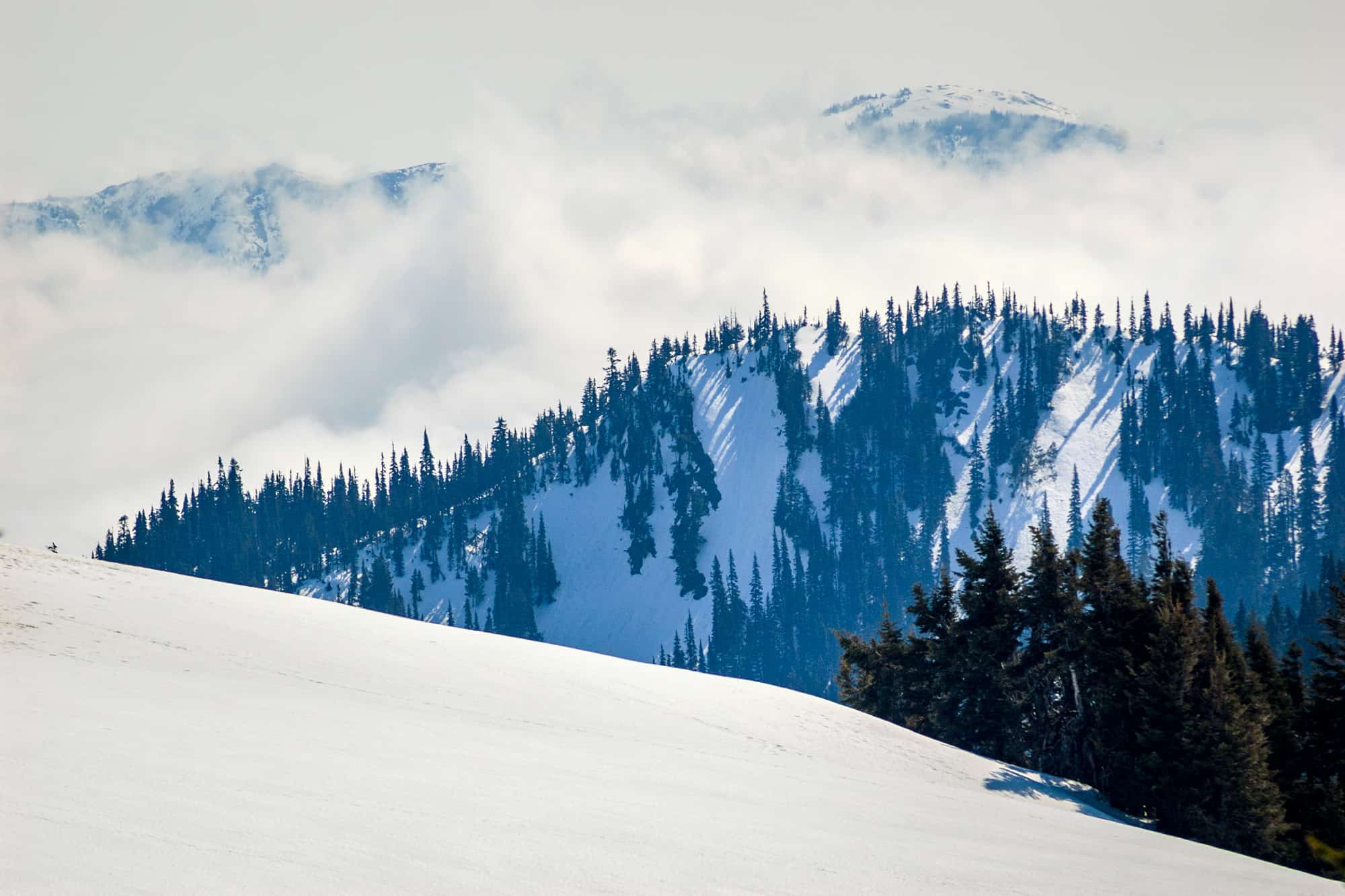 hurricane ridge covered in snow with snowy mountain backdrop at olympic national park in winter