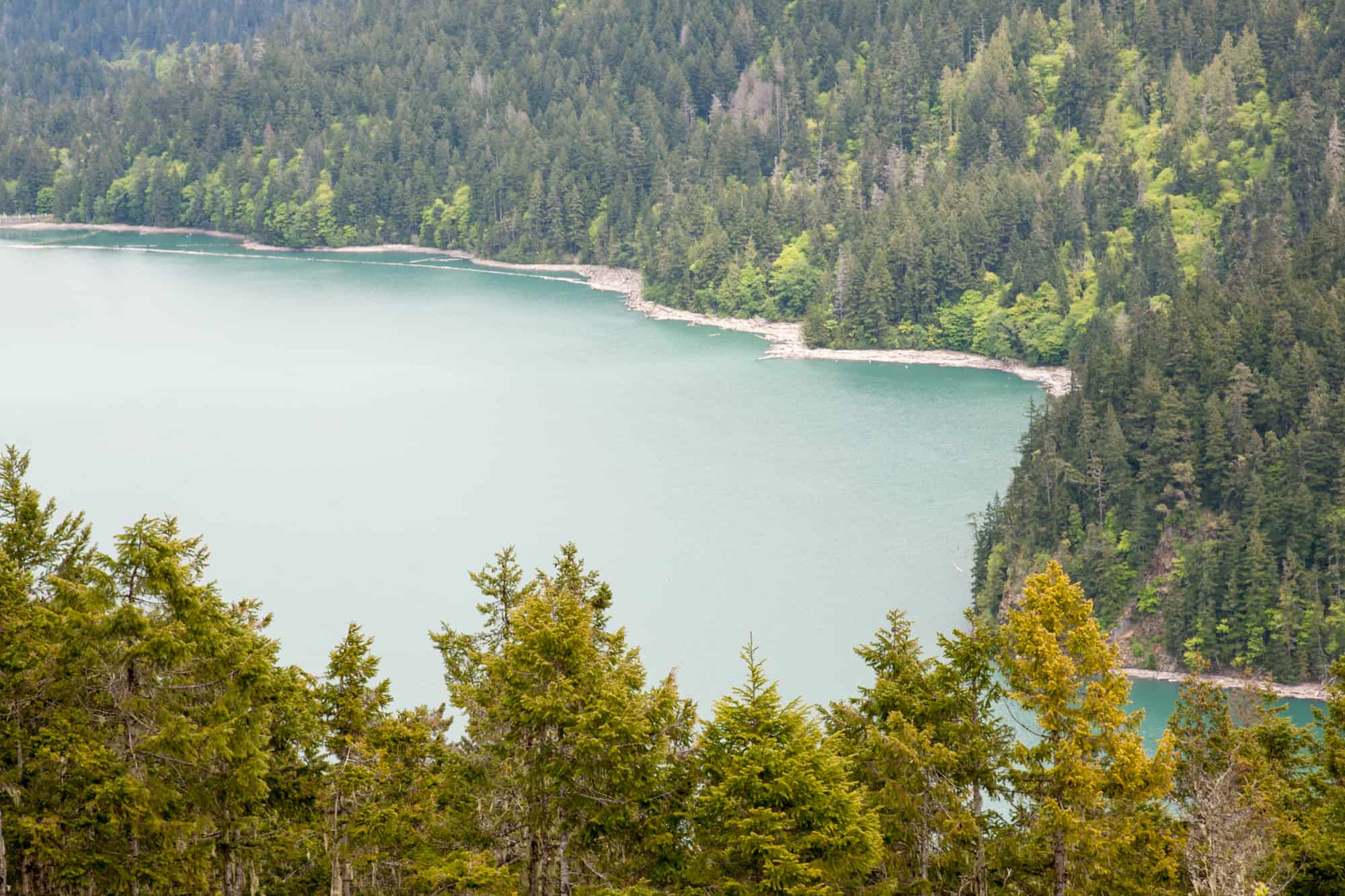 a lake seen from up above surrounded by pines