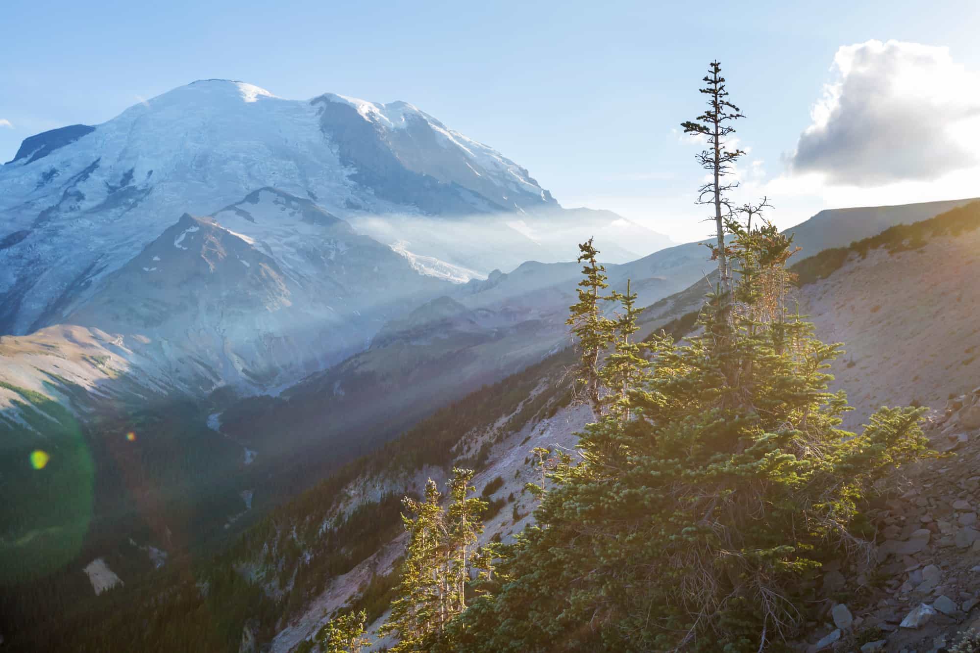 a close up of mount rainier from high within the park, the sunlight from the right is creating sunbeams across the image