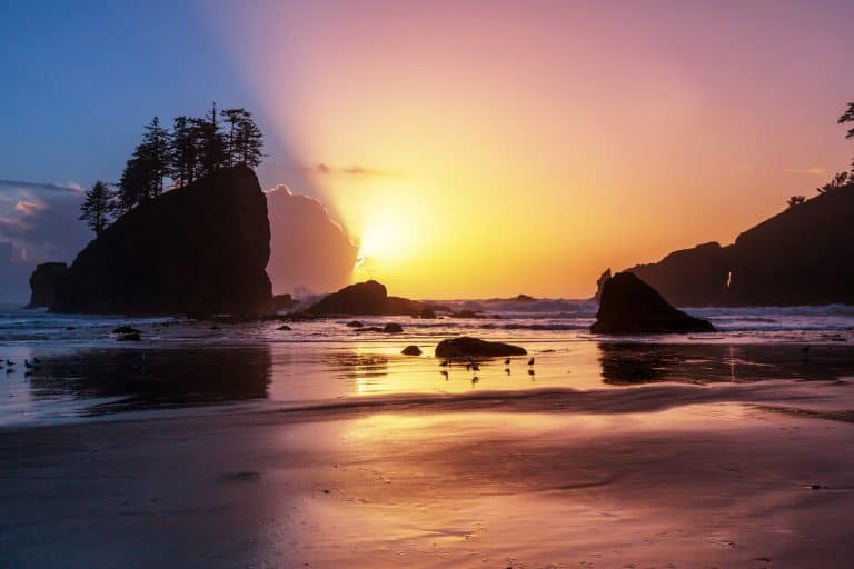 a beach scene along olympic national park shoreline at sunset with a seastack hidden in shadow next the vibrant setting sun lighting up the sky