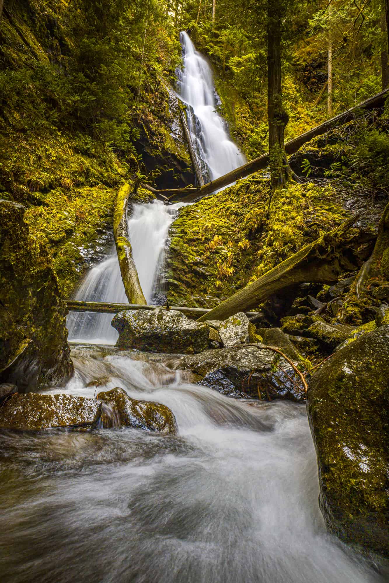 murhut falls flowing between mossy rocks and green foliage