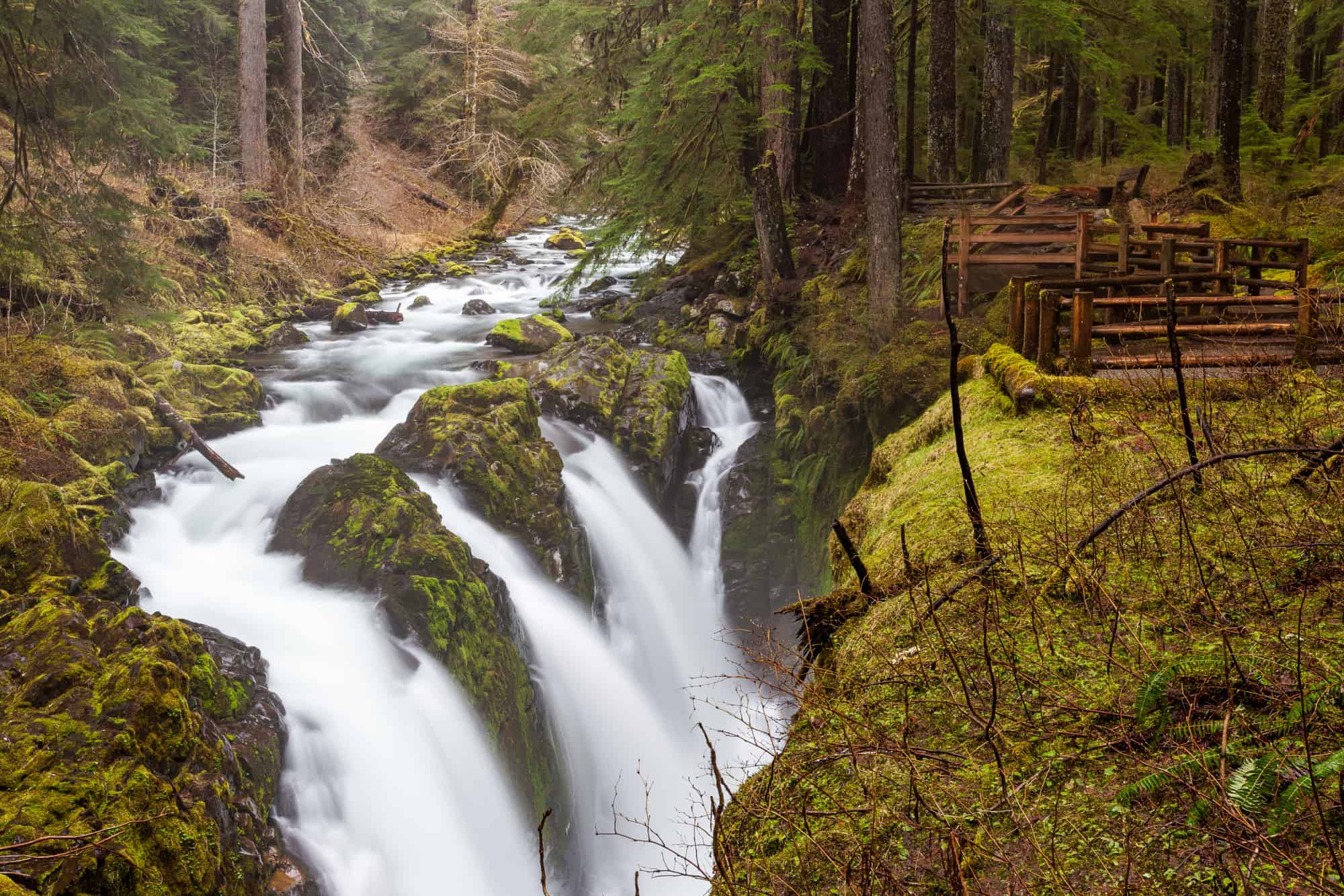 Sol Duc Falls seen with 4 waterfalls falling down the rocky cliff edge next to a viewing playform, olympic national park in spring is perfect for seeing the waterfalls as the snow melt creates additional water in the falls
