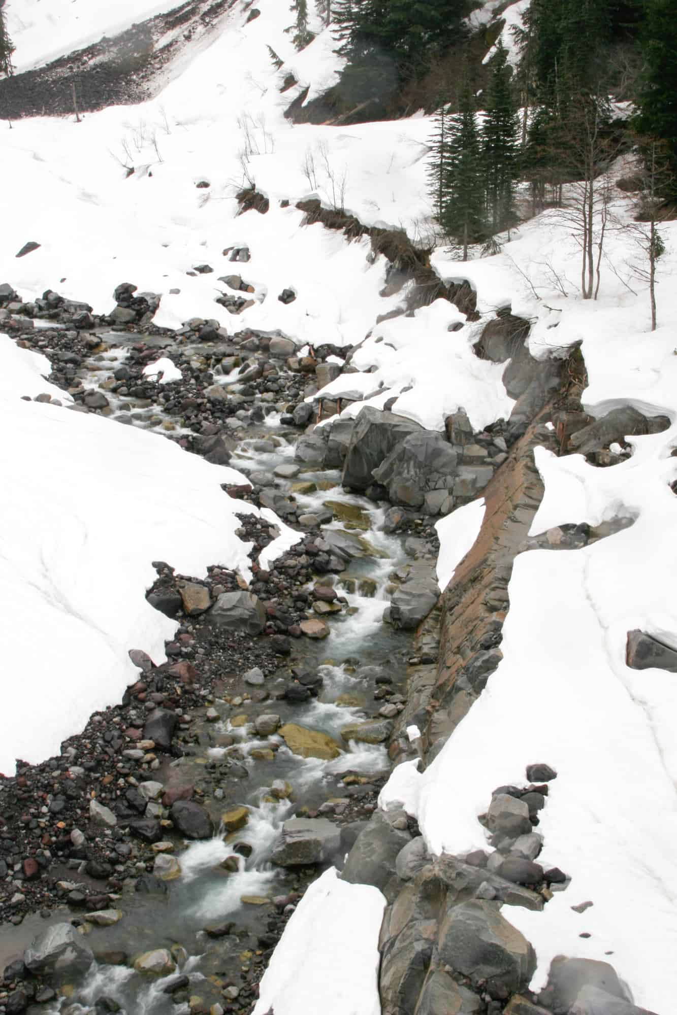 the snow is beginning to melt on mount rainier as this small creek is no longer frozen, but the edges of the rocky creek bed are still covered in glaze of snow