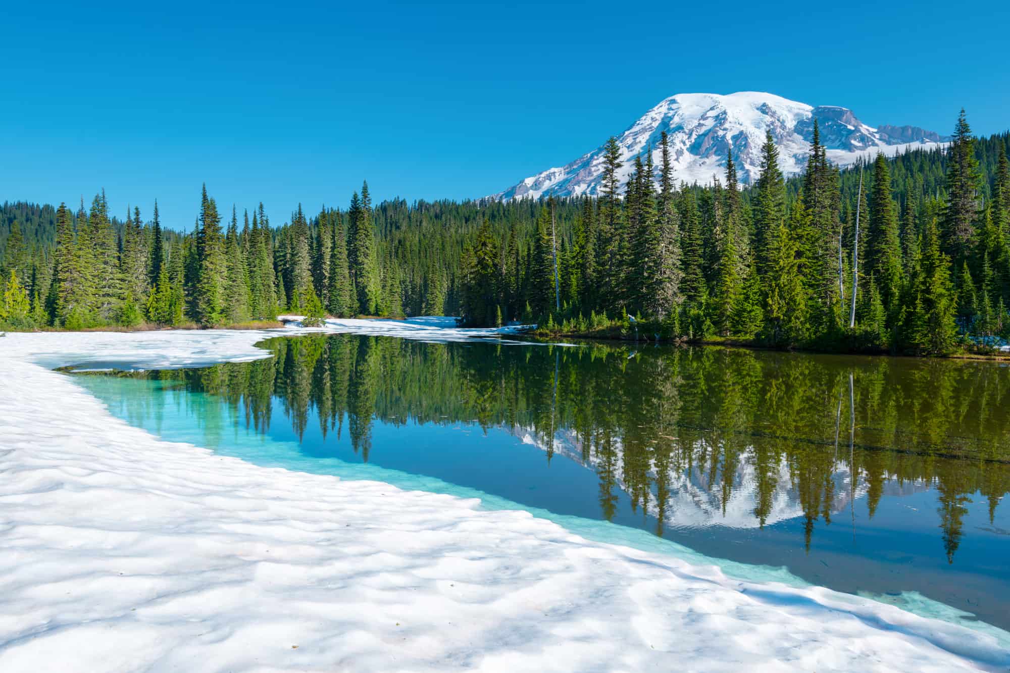 snow sits along the shore at reflection lake with trees and mount rainier in the background, mount rainier in winter will give you gorgeous clear days like this as well as terrible snowy weather
