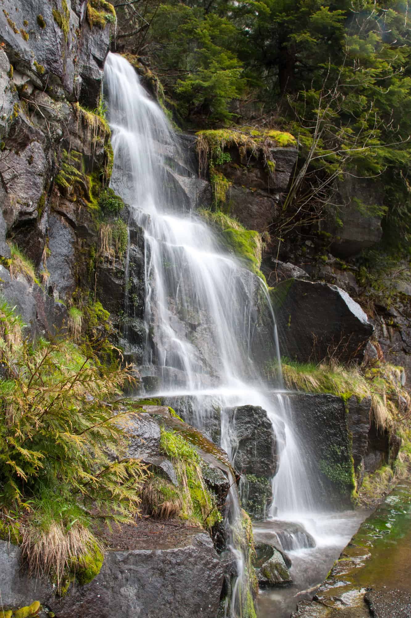 a small waterfall inside mount rainier national park, surrounded by mossy rocks and ferns, mount rainier in spring is the perfect season for waterfalls as the snow melt creates extra flow