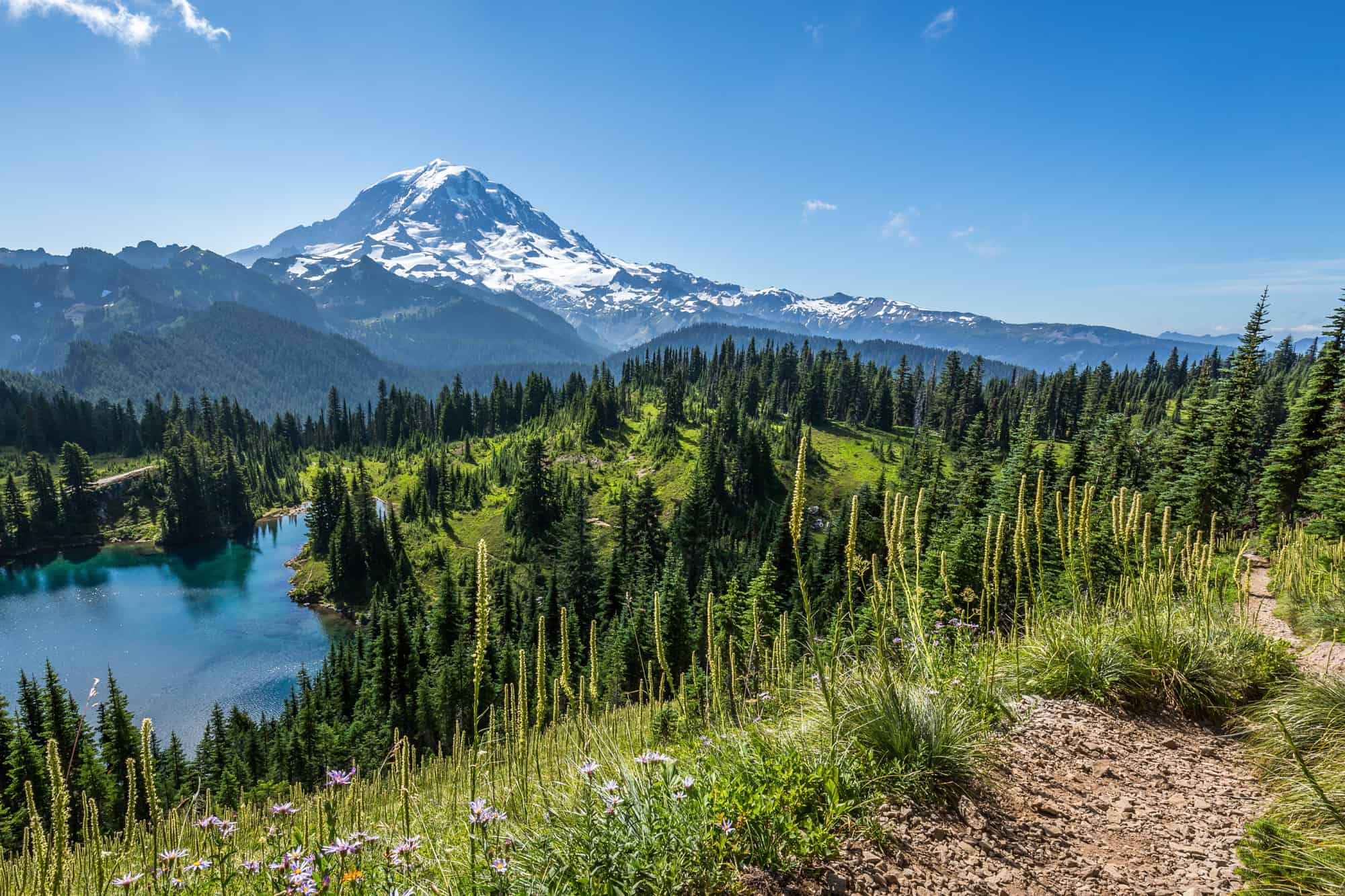 a hiking trail shows a birds eye view above a lake and green trees with mount rainier seen in the background under a blue sky
