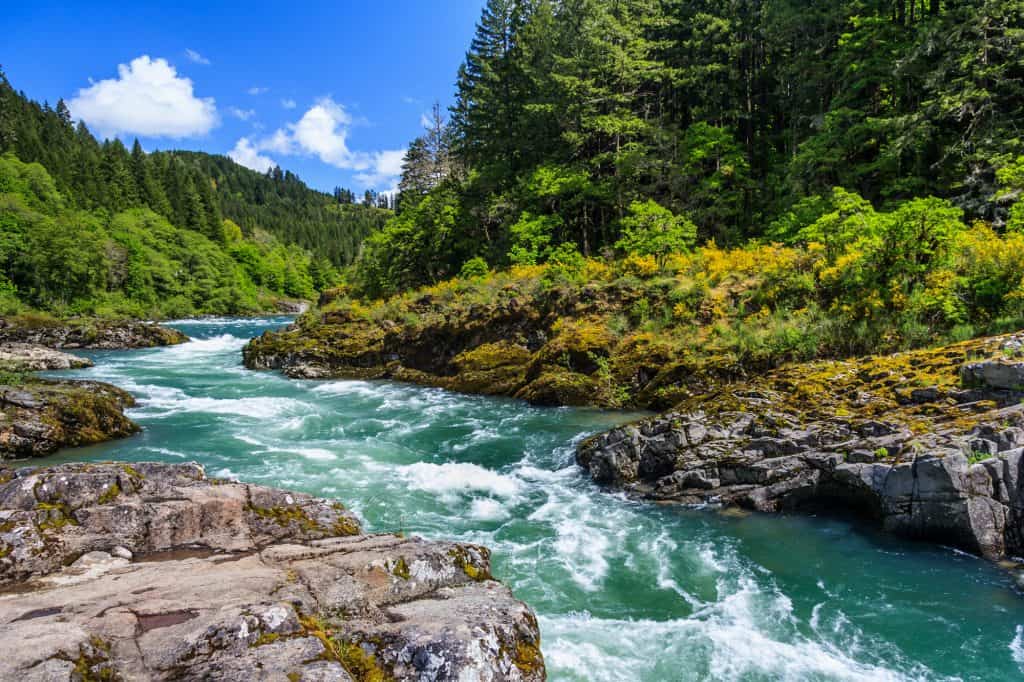 a river flows next to a rocky shore and green trees inside north cascades national park