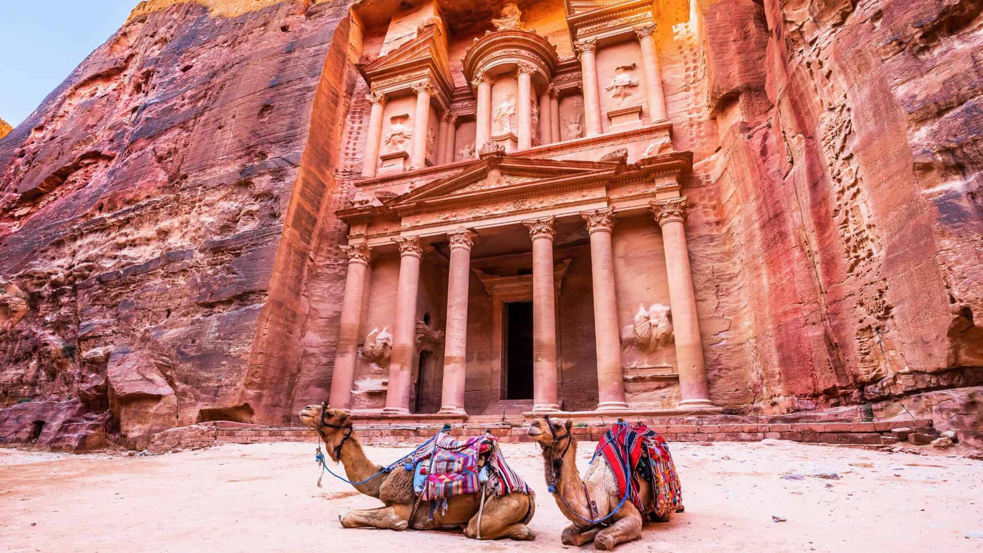 petra carved into the stone wall with 2 camels sitting in front
