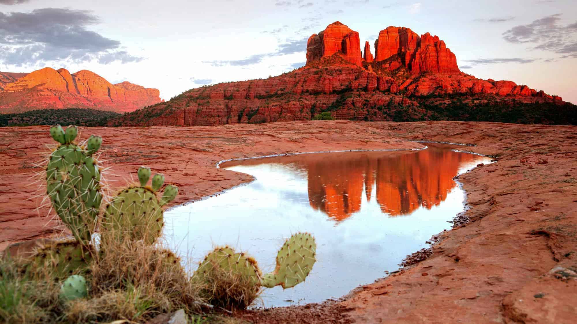 The red rock formations of Sedona, Arizona, glowing in the light of a sunset, with a small pond reflecting the vibrant landscape and a cactus in the foreground.