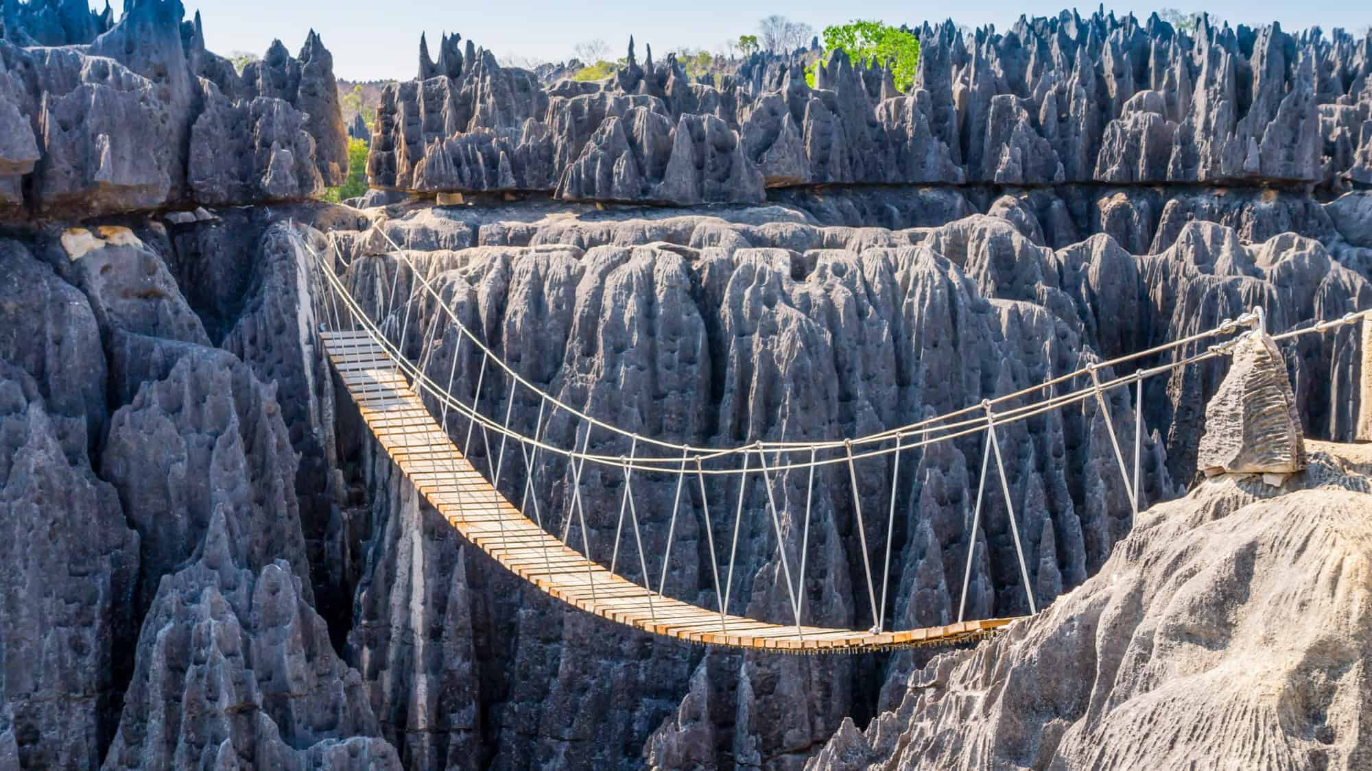 A wooden suspension bridge stretches across jagged limestone formations in Tsingy de Bemaraha National Park, Madagascar.