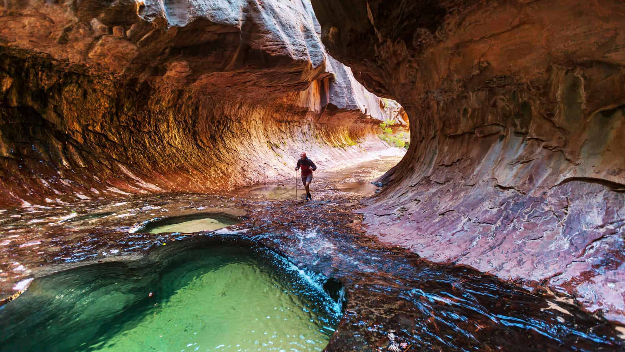 A scenic view of Zion National Park with a river winding through a verdant landscape of green trees and towering red rock cliffs in the background.