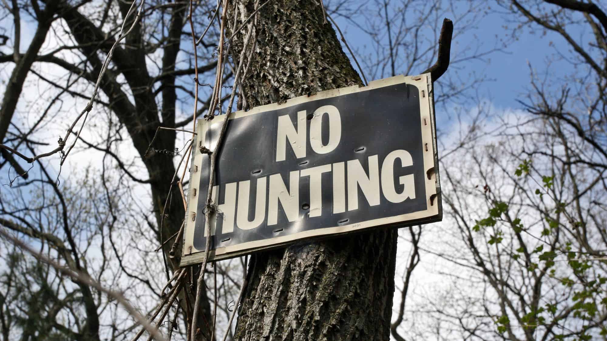 A "No Hunting" sign nailed to a tree with branches and sky in the background.