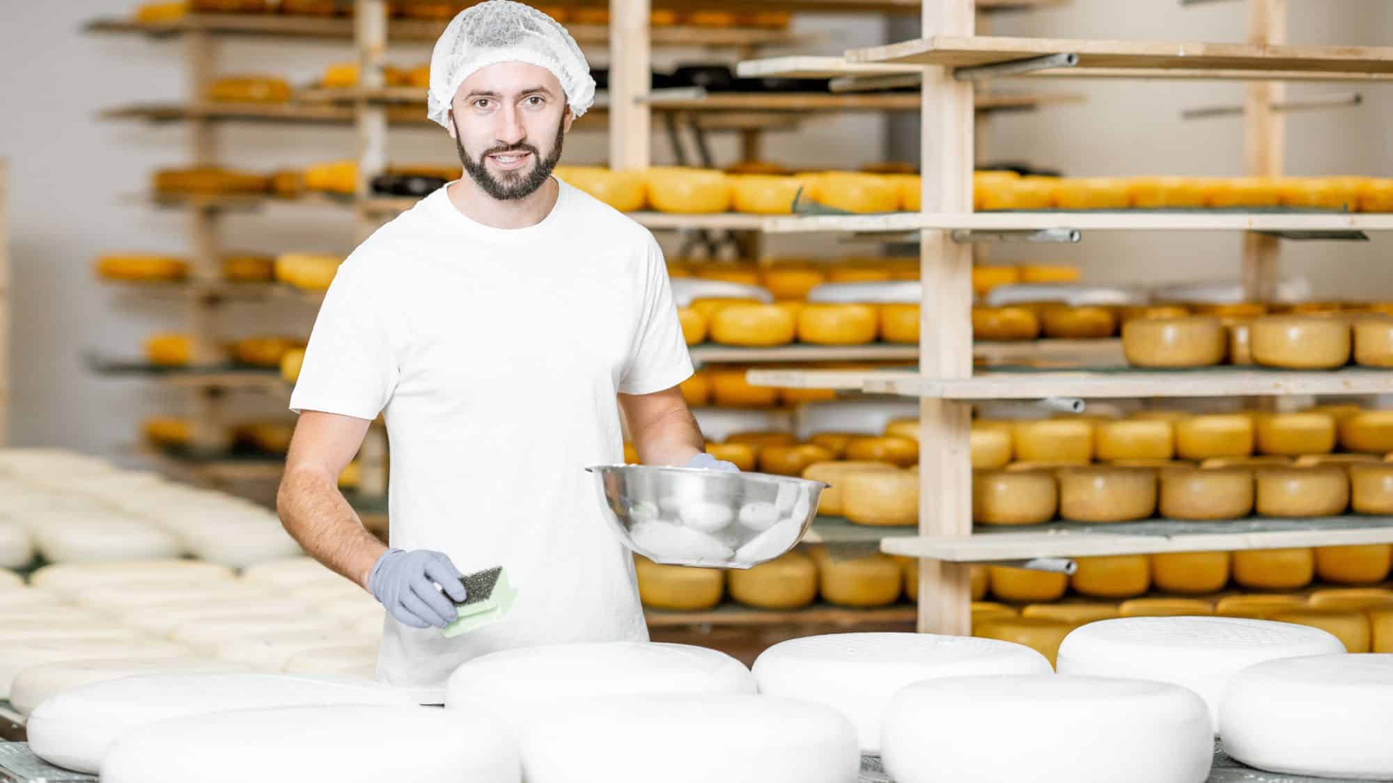 A man wearing a white shirt, gloves, and a hairnet working in a cheese factory, surrounded by large rounds of cheese on shelves.