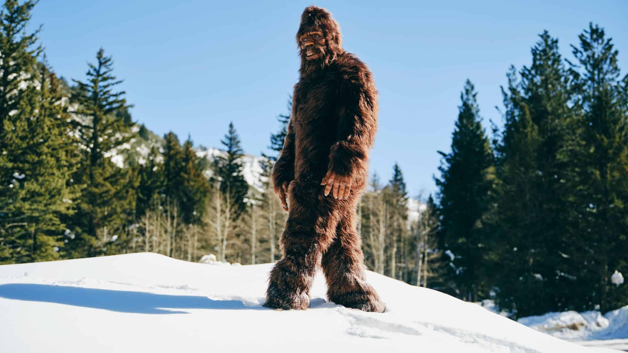 A person in a large, brown Bigfoot costume walking through a snowy forest landscape.