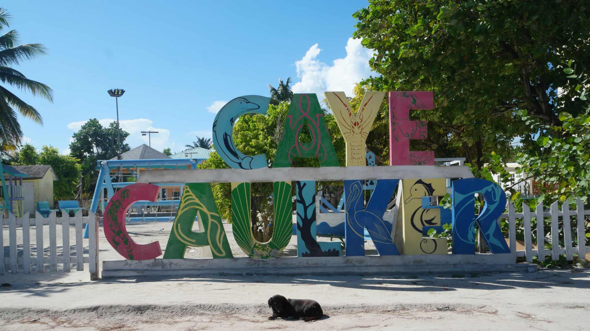 A colorful sign spelling "Caye Caulker" stands in front of lush green foliage and a white picket fence. Each letter of the sign is decorated with vibrant marine-themed artwork, and a black dog is resting in the shade below.