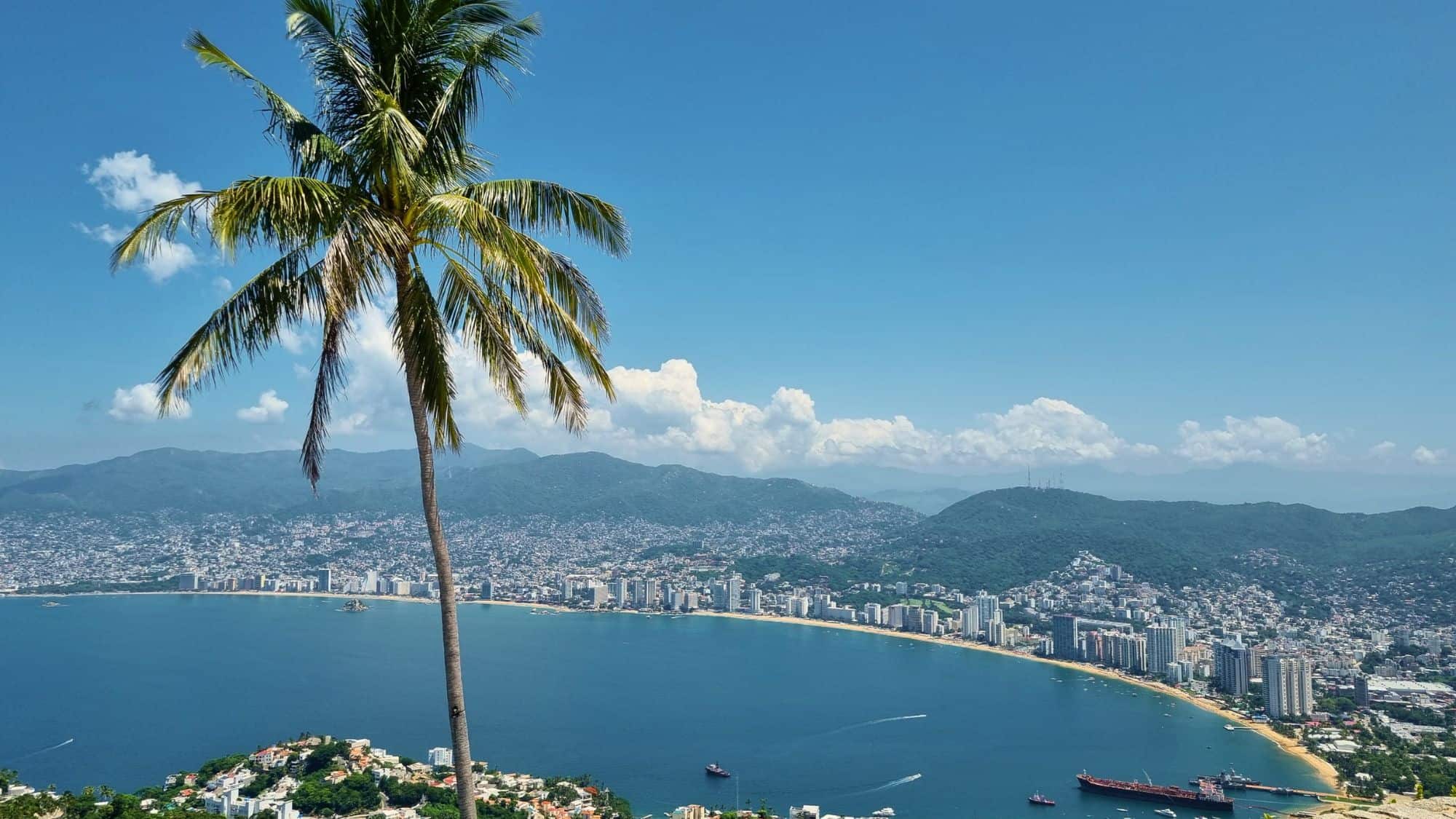 A scenic view of Acapulco Bay with a tall palm tree in the foreground. The coastline is lined with modern high-rise buildings, golden beaches, and deep blue waters, all surrounded by lush green mountains under a bright blue sky.