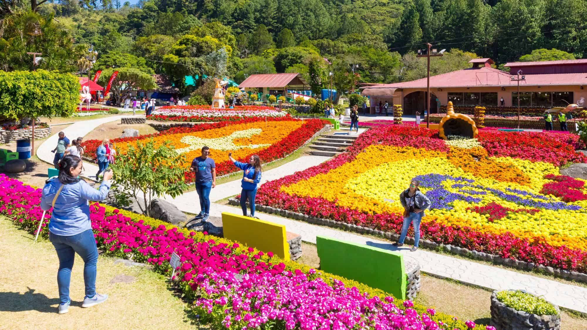 A vibrant garden with colorful floral displays arranged in artistic patterns. Visitors stroll through the park, taking photos and enjoying the bright blooms under a clear blue sky.