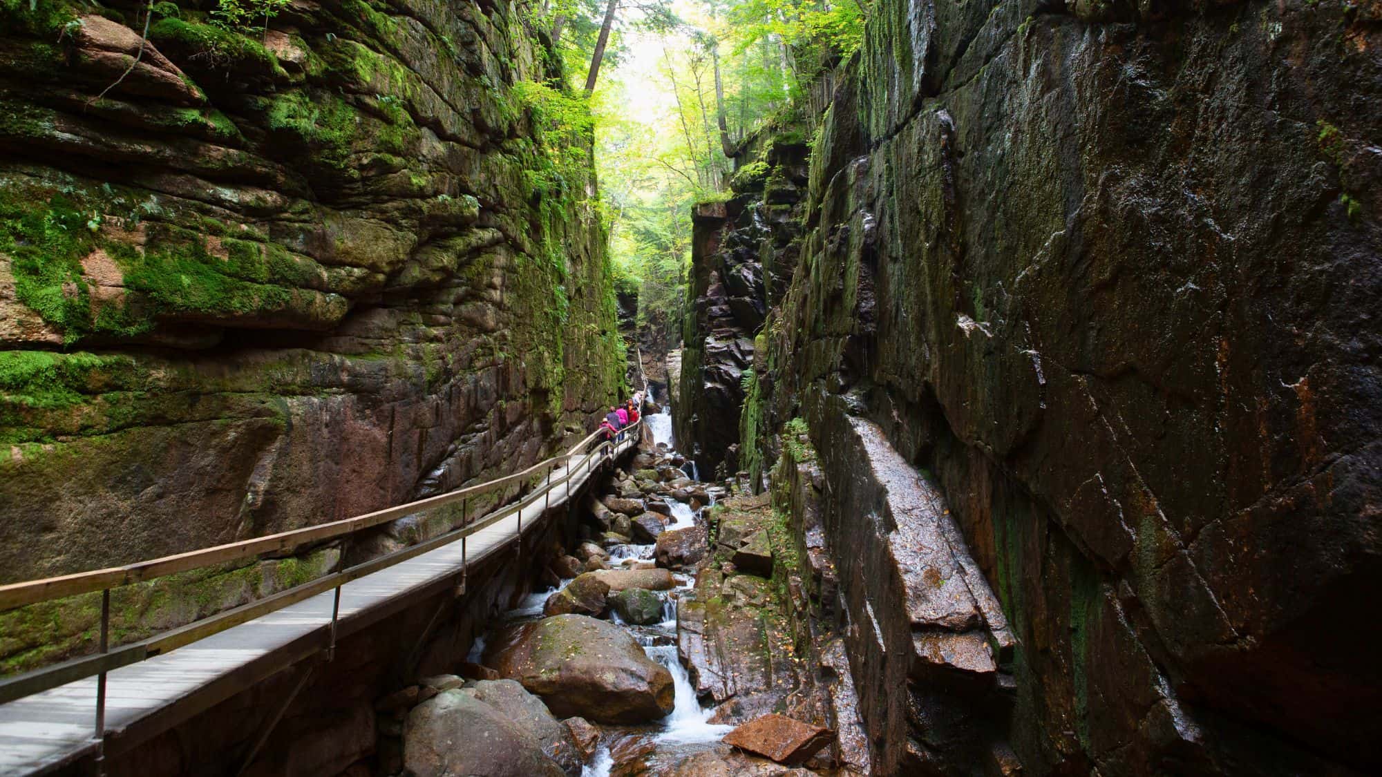 A narrow, dramatic gorge with moss-covered rock walls and a wooden walkway winding through the rocky landscape. Visitors can be seen exploring the area, surrounded by lush greenery and a flowing stream below.