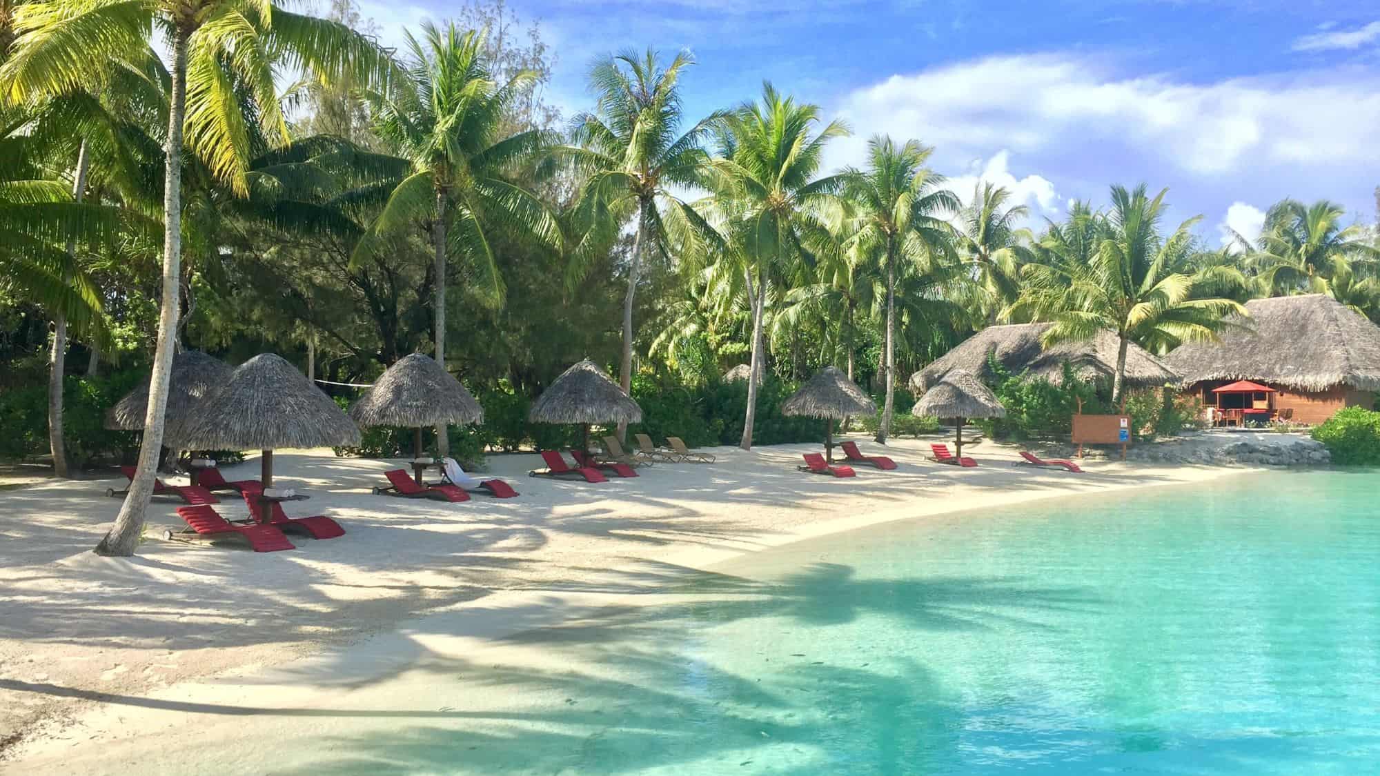 A white sand beach lined with palm trees and thatched umbrellas, with red lounge chairs scattered across the shore. The calm, shallow water shimmers under the sunlight.