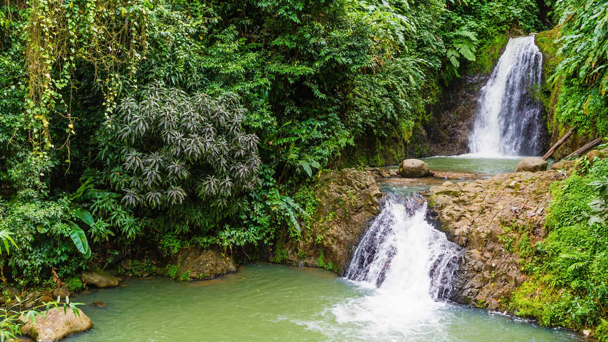 A lush, tropical landscape with cascading waterfalls flowing into a serene emerald pool. Dense green foliage and hanging vines frame the scene, creating a secluded paradise feel.