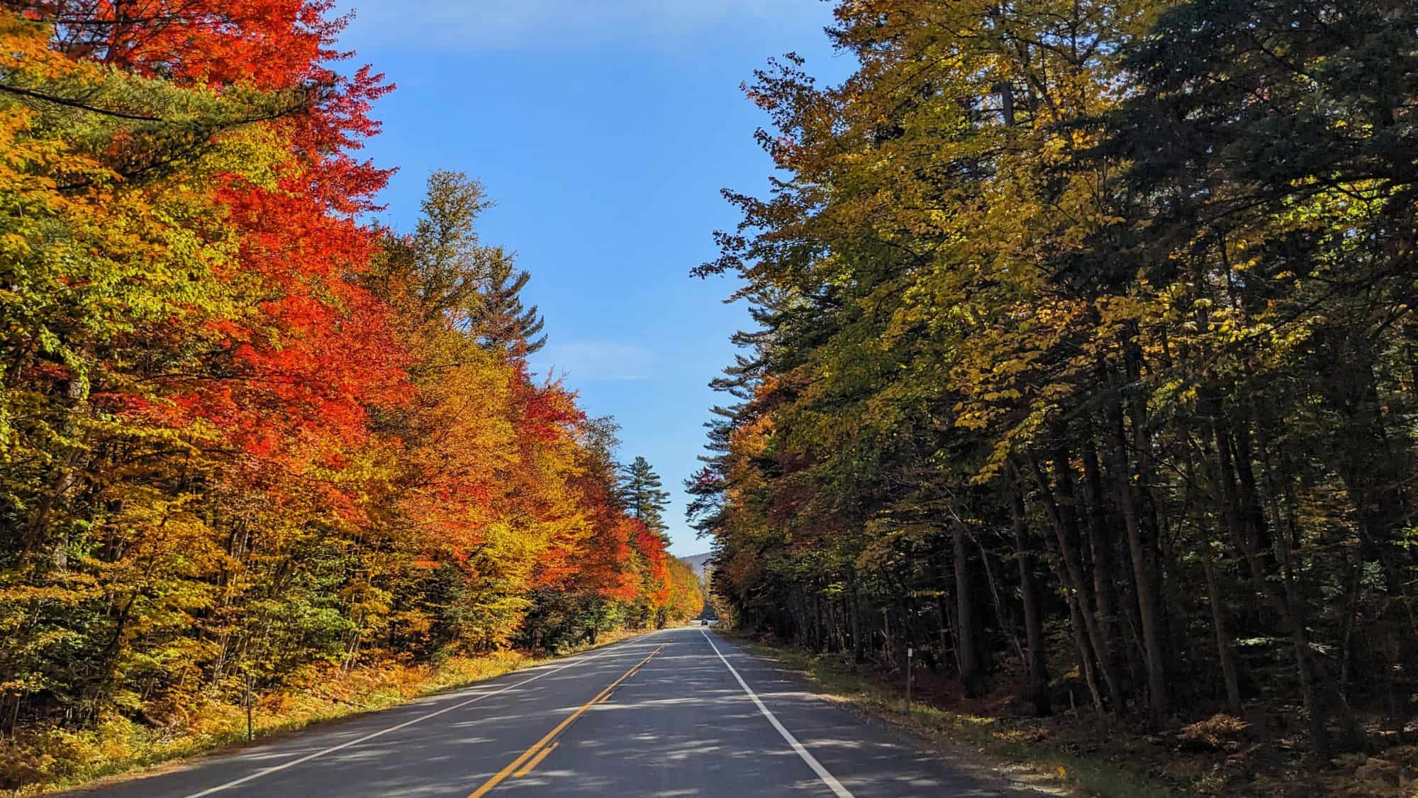 A scenic road cutting through a dense forest adorned with brilliant autumn colors, including fiery reds, oranges, and yellows. The clear blue sky above completes this quintessential New England fall drive.