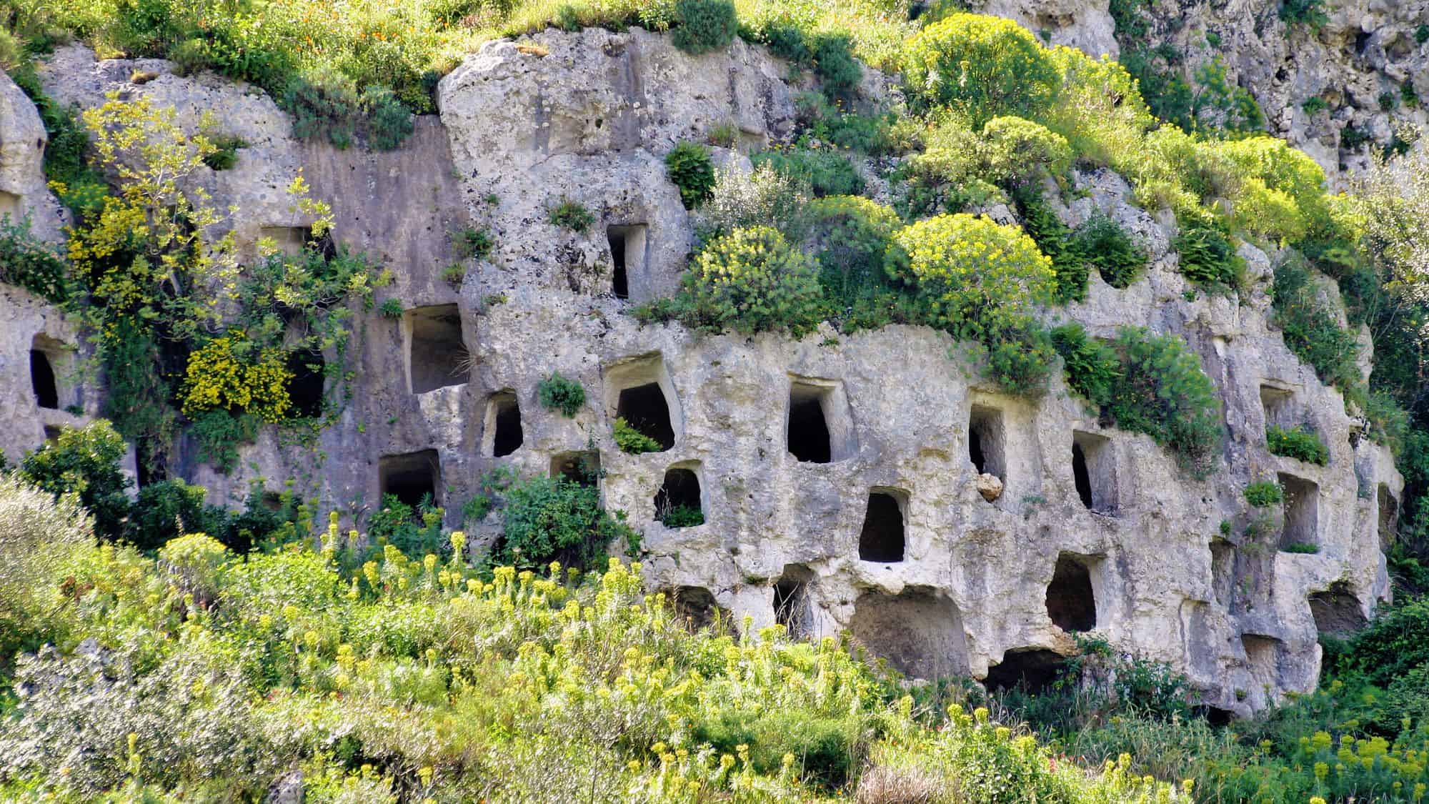 An ancient rock-cut necropolis in Sicily, featuring numerous square-shaped tomb openings carved into a rugged cliffside. The surrounding greenery and wildflowers partially cover the centuries-old burial site, highlighting its historical significance.