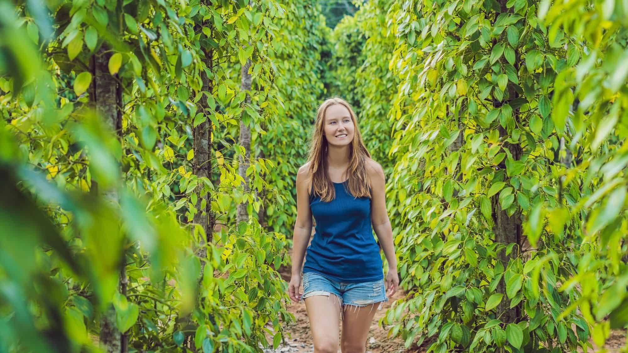 A woman in a blue tank top and denim shorts walks through lush green pepper plantations, smiling while surrounded by vibrant plants under natural sunlight.