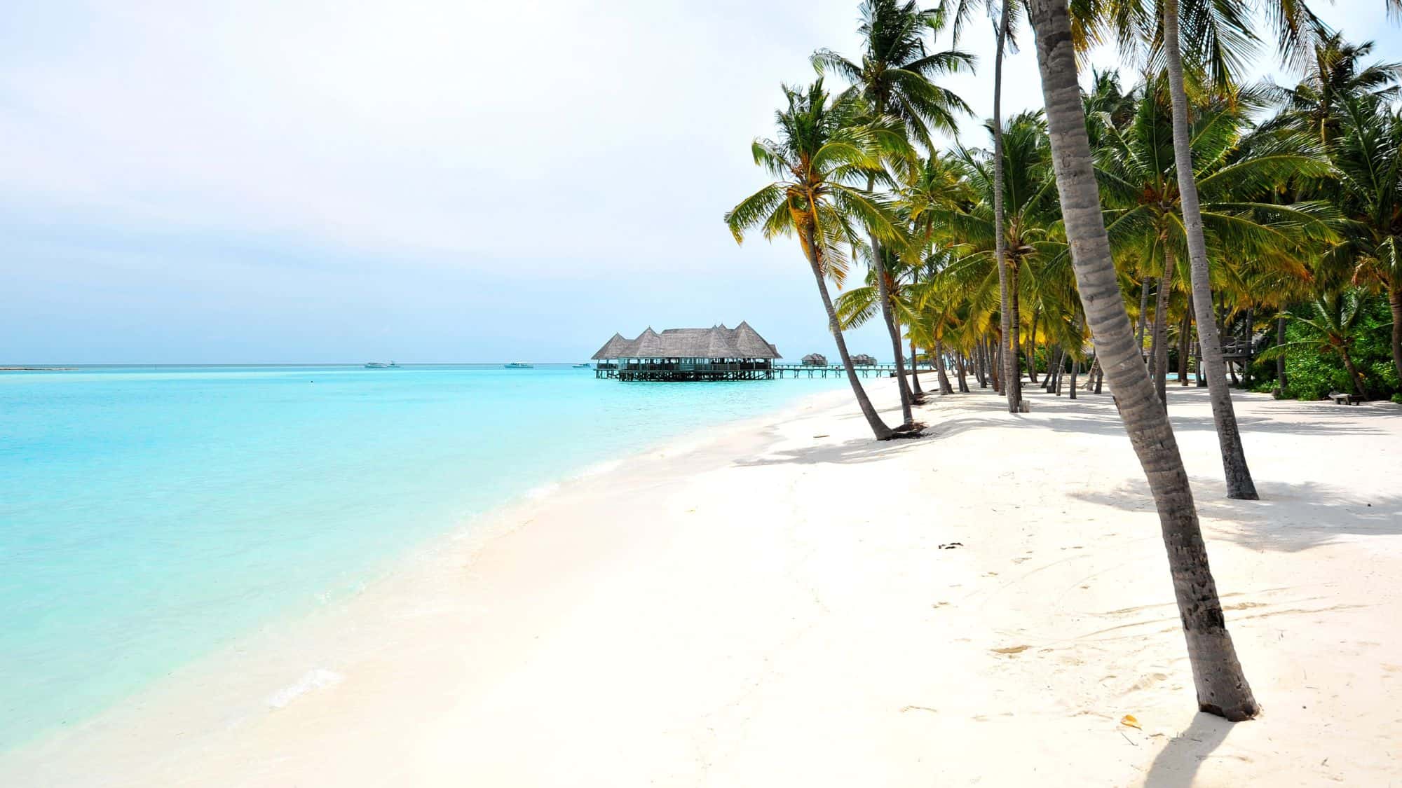 A pristine beach with soft white sand, turquoise water, and lush palm trees. In the distance, overwater villas with thatched roofs stand above the sea, creating a peaceful tropical escape.