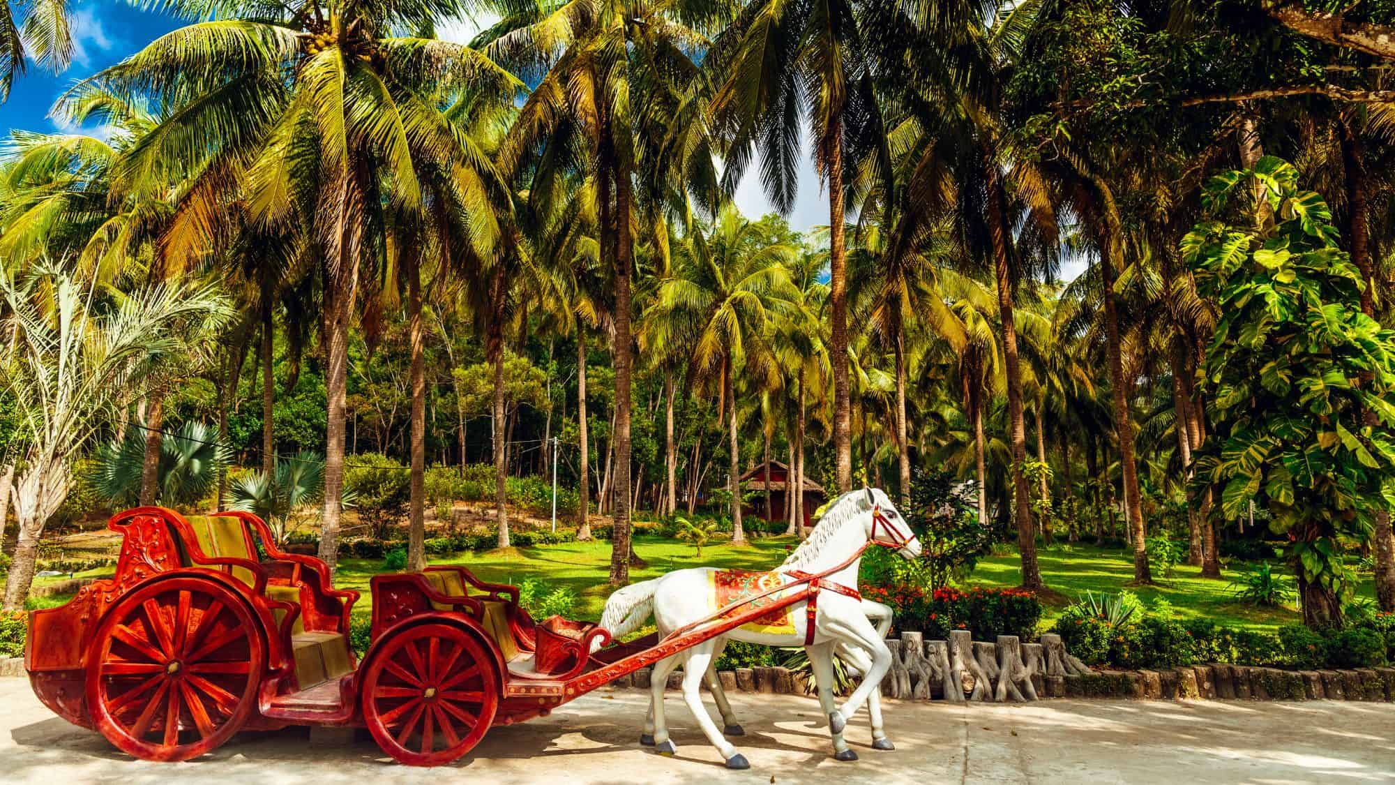 A scenic tropical setting with tall palm trees and a decorative red horse-drawn carriage statue, surrounded by lush greenery.