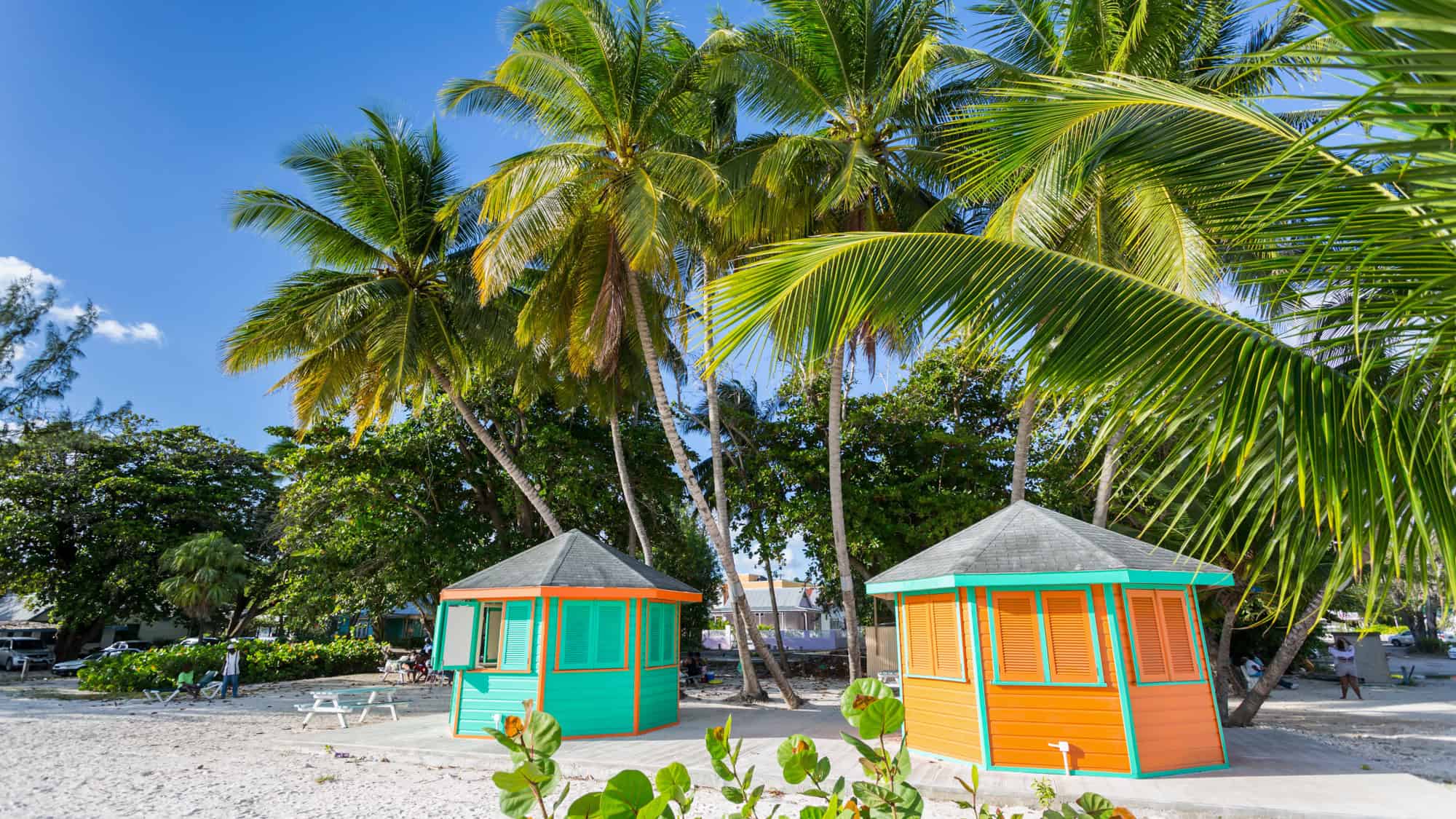 Two colorful beach huts, one teal and the other orange, nestled among tall palm trees on a sandy beach in Barbados under a clear blue sky.