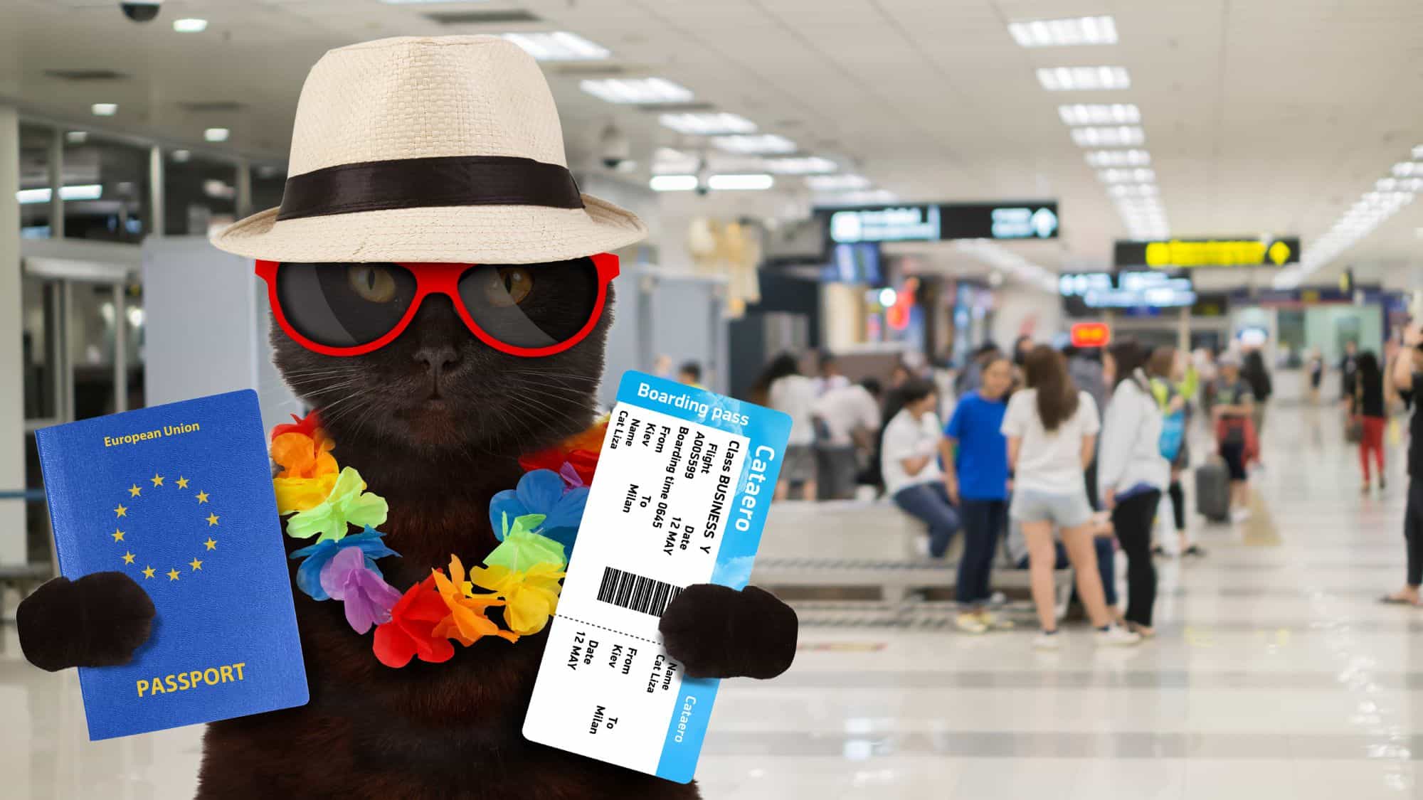 A digitally edited image of a black cat wearing a straw hat, red sunglasses, and a colorful Hawaiian lei, holding a European Union passport and a boarding pass. The cat stands in a busy airport terminal with travelers in the background.