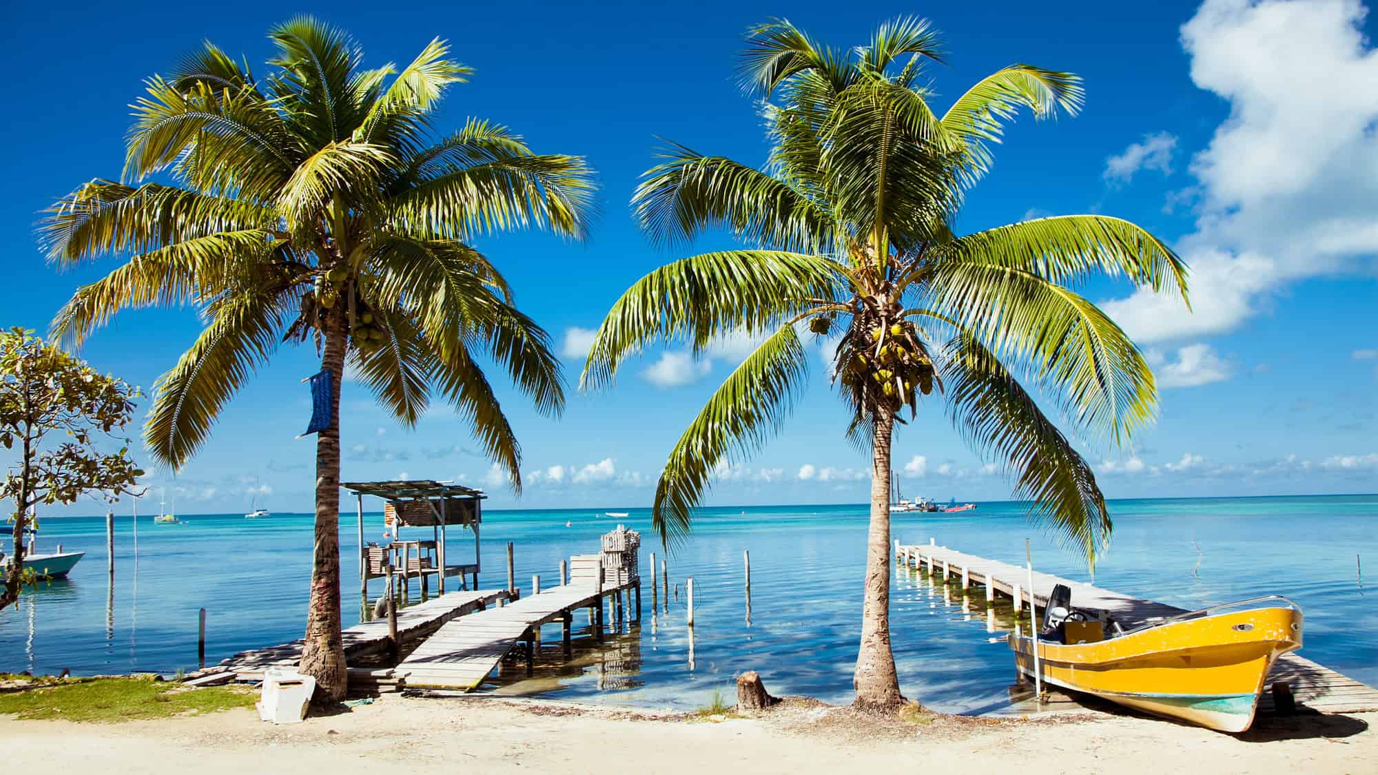 ropical beach with palm trees, turquoise water, and wooden docks.