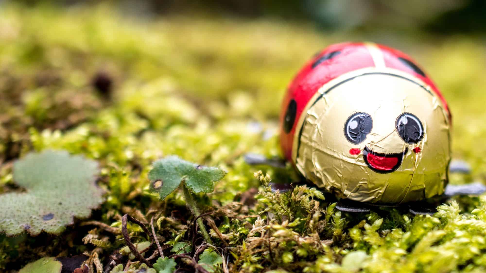 A close-up of a foil-wrapped chocolate in the shape of a ladybug, placed on a bed of green moss. The foil is crinkled, giving the candy a playful, textured look.