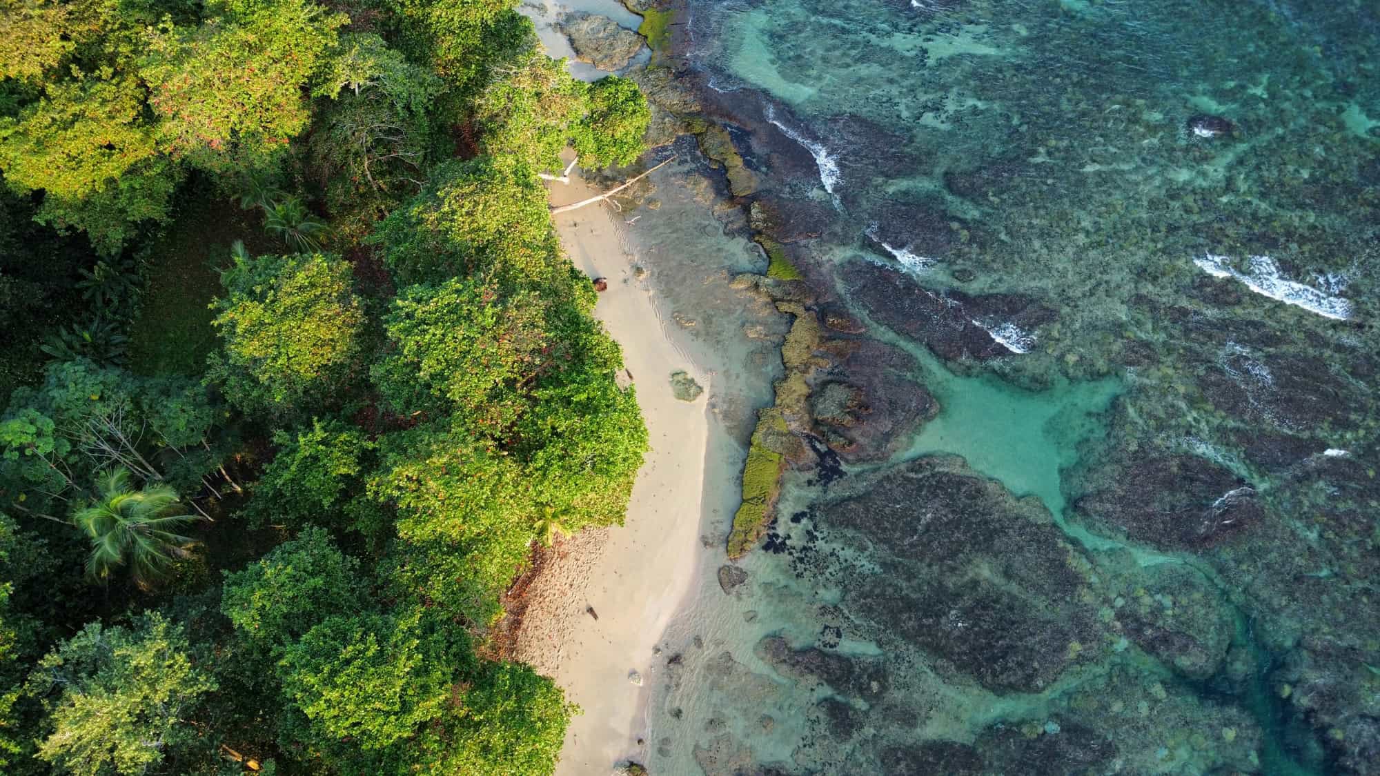An aerial shot of a secluded tropical beach in Costa Rica, surrounded by lush green jungle and clear turquoise waters. The shoreline features a mix of sandy beach and rocky formations blending into the sea.