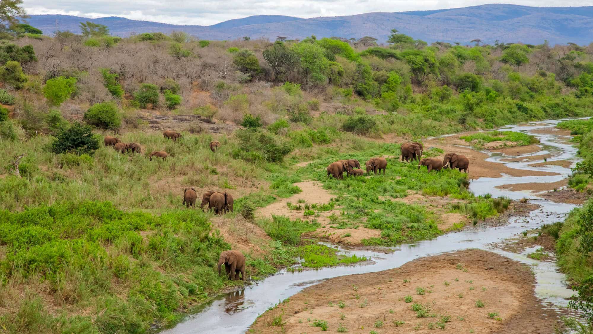 A peaceful African savanna with a winding river and a herd of elephants grazing on the green riverbanks. The rolling hills and scattered trees add depth to the landscape.