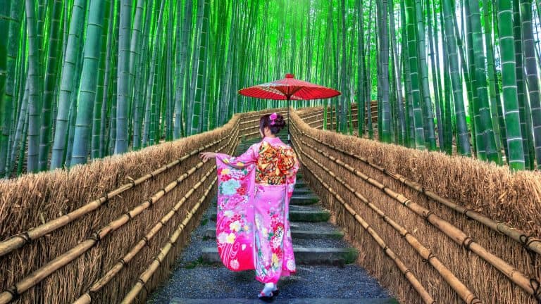 A woman wearing a vibrant pink kimono and holding a red umbrella walks up a stone path through the dense, green bamboo forest of Kyoto, Japan.