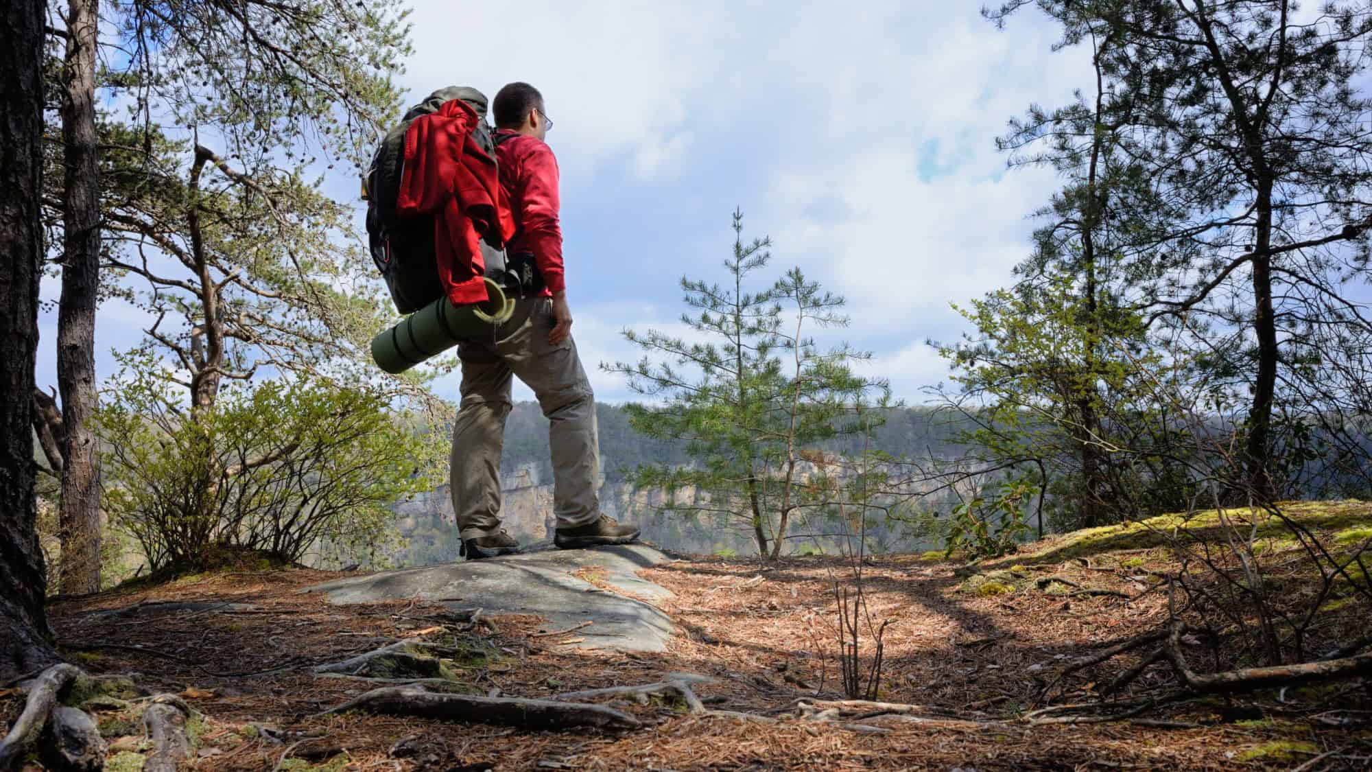 A male hiker stands on a rocky outcrop, overlooking a vast forested landscape. He wears a red backpack and carries a rolled-up sleeping mat, gazing into the distance.
