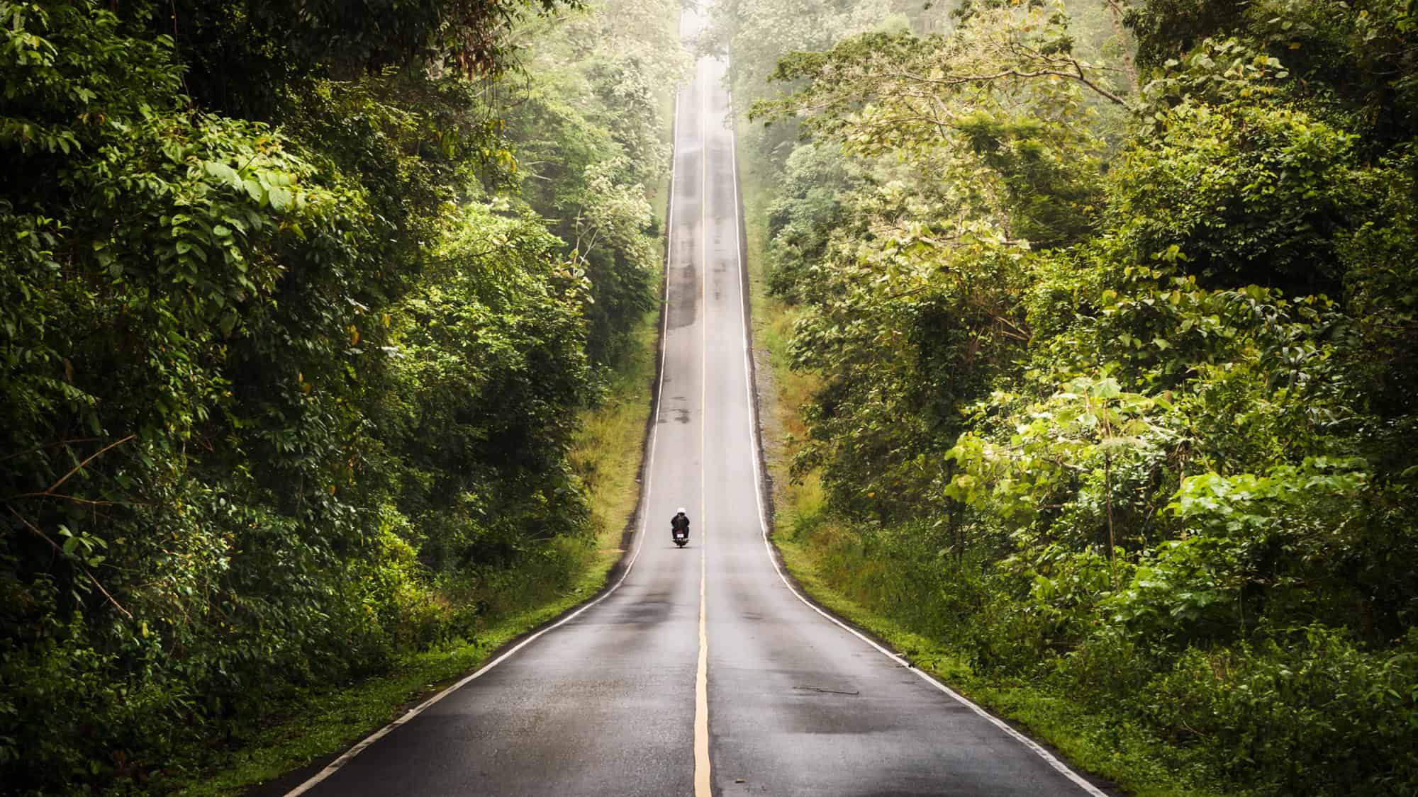 A lone motorcyclist rides along a steep, straight road cutting through dense, tropical jungle, with the misty horizon in the distance.
