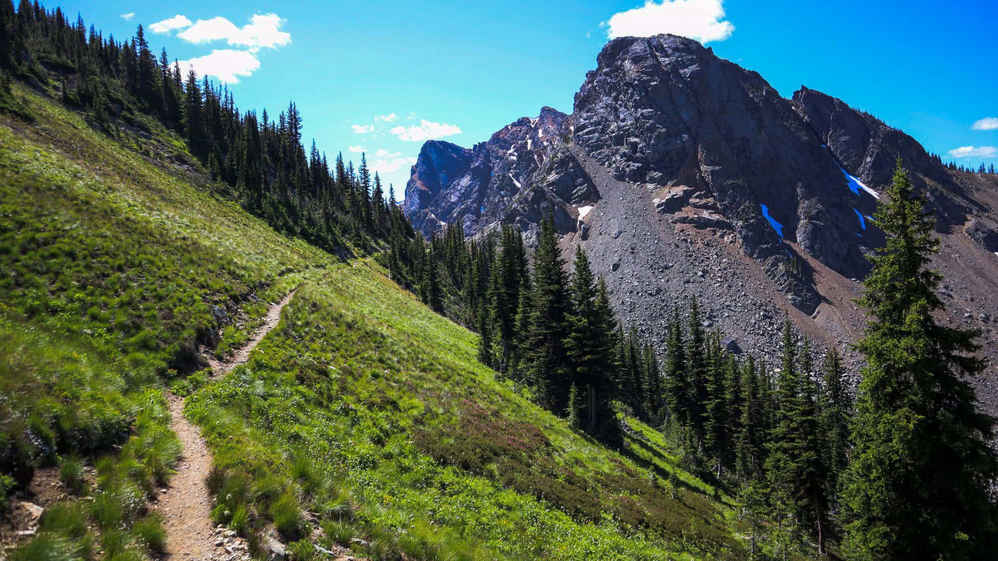 A rugged hiking trail winding through lush green meadows, leading toward towering rocky mountain peaks. The blue sky is dotted with wispy clouds.