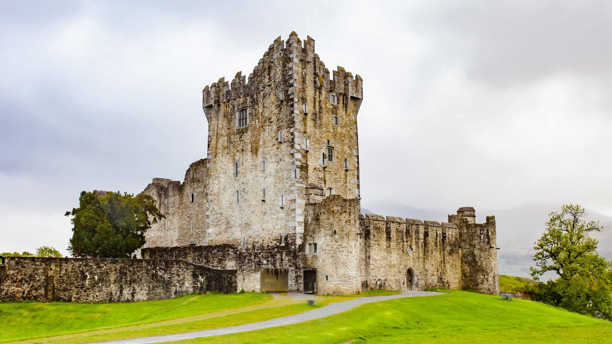 A well-preserved medieval fortress with a square tower and stone walls, set against a misty sky. The lush green grass surrounding it adds contrast to its imposing structure.