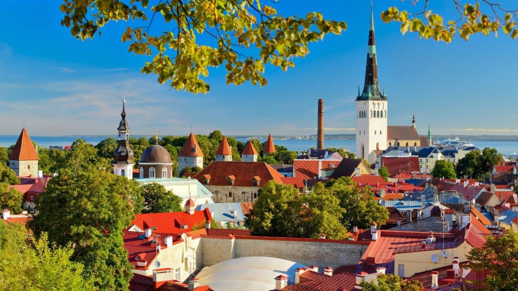 Another charming view of Tallinn, Estonia, with the city’s signature red rooftops and stone towers peeking through dense greenery. The spire of St. Olaf’s Church stands tall in the background, with the calm Baltic waters and cruise ships visible in the distance under a clear blue sky.