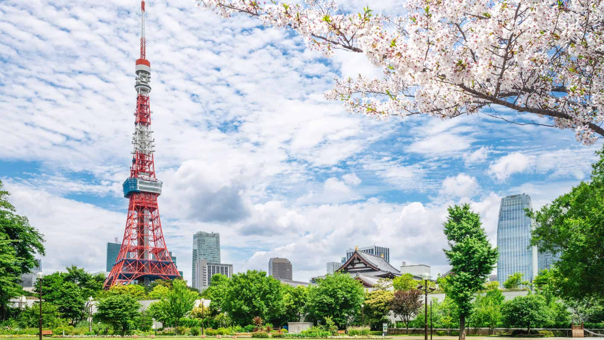 A stunning daytime view of Tokyo Tower, painted in its signature red and white, standing tall against a partly cloudy sky. In the foreground, lush green trees and a cherry blossom branch in full bloom frame the iconic landmark, with modern skyscrapers visible in the background.