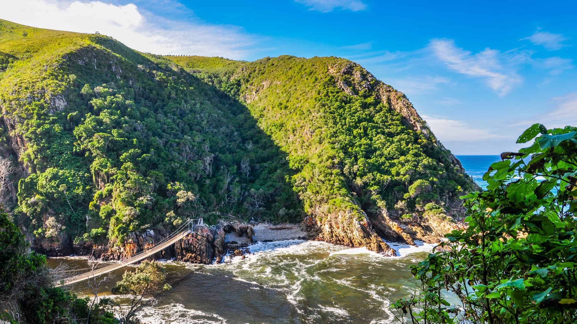 A lush, green coastal landscape featuring a dramatic rocky gorge and a suspension bridge spanning the water. The vibrant blue ocean contrasts beautifully with the dense vegetation.